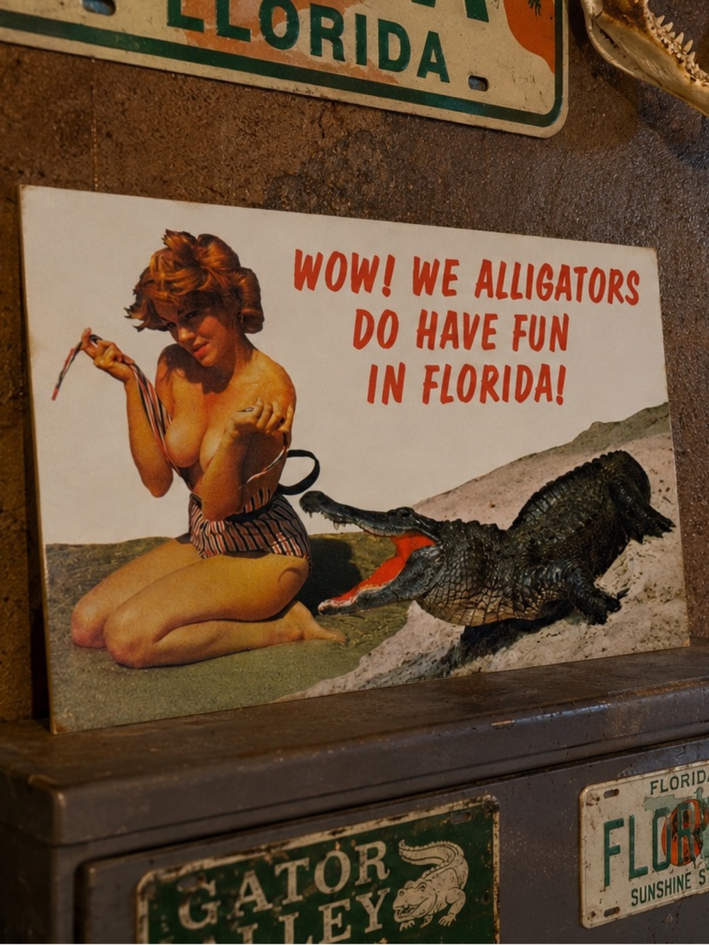 Vibrant Alligator Fun Wall Art Vintage Pin-up Postcard Florida Souvenir Ephemera